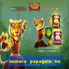 numero papagaio no jogo do bicho